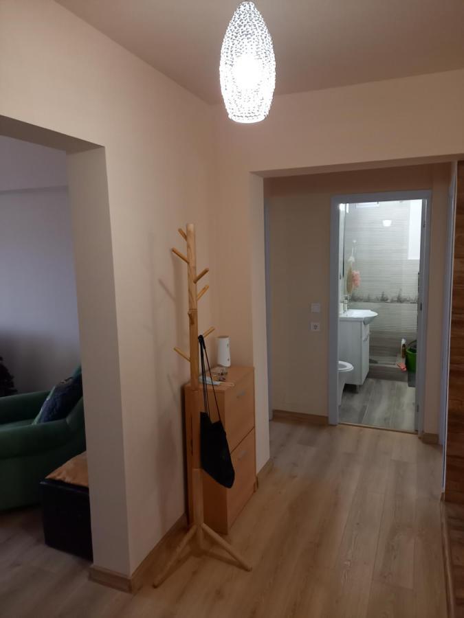 Tei Apartment Oradea Ngoại thất bức ảnh